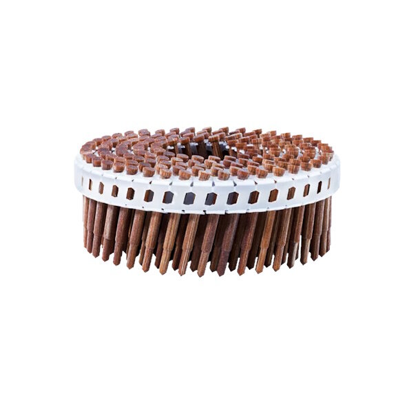 Beck LIGNOLOC Holznägel stumpf, gestuft mit Kopf im Plastikband 15° 3,5 x 25mm - 1 Karton zu 600 Stück